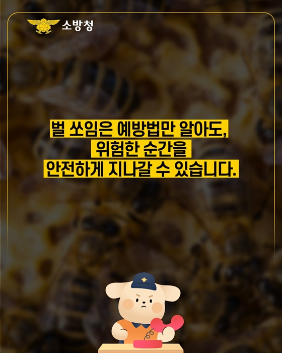 벌쏘임 벌집제거 행동요령 응급대처법 벌침제거법 8월벌쏘임 알레르기응급 소방청통계