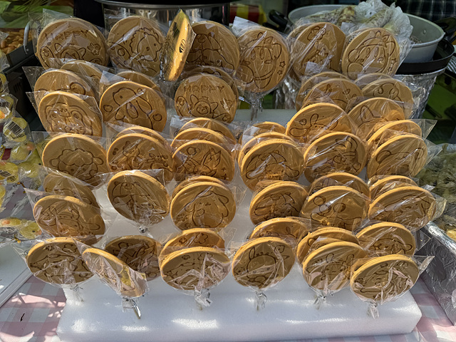 광양 매화축제 개화상황 실시간 사진 입장료