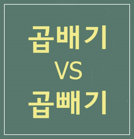 곱배기-곱빼기