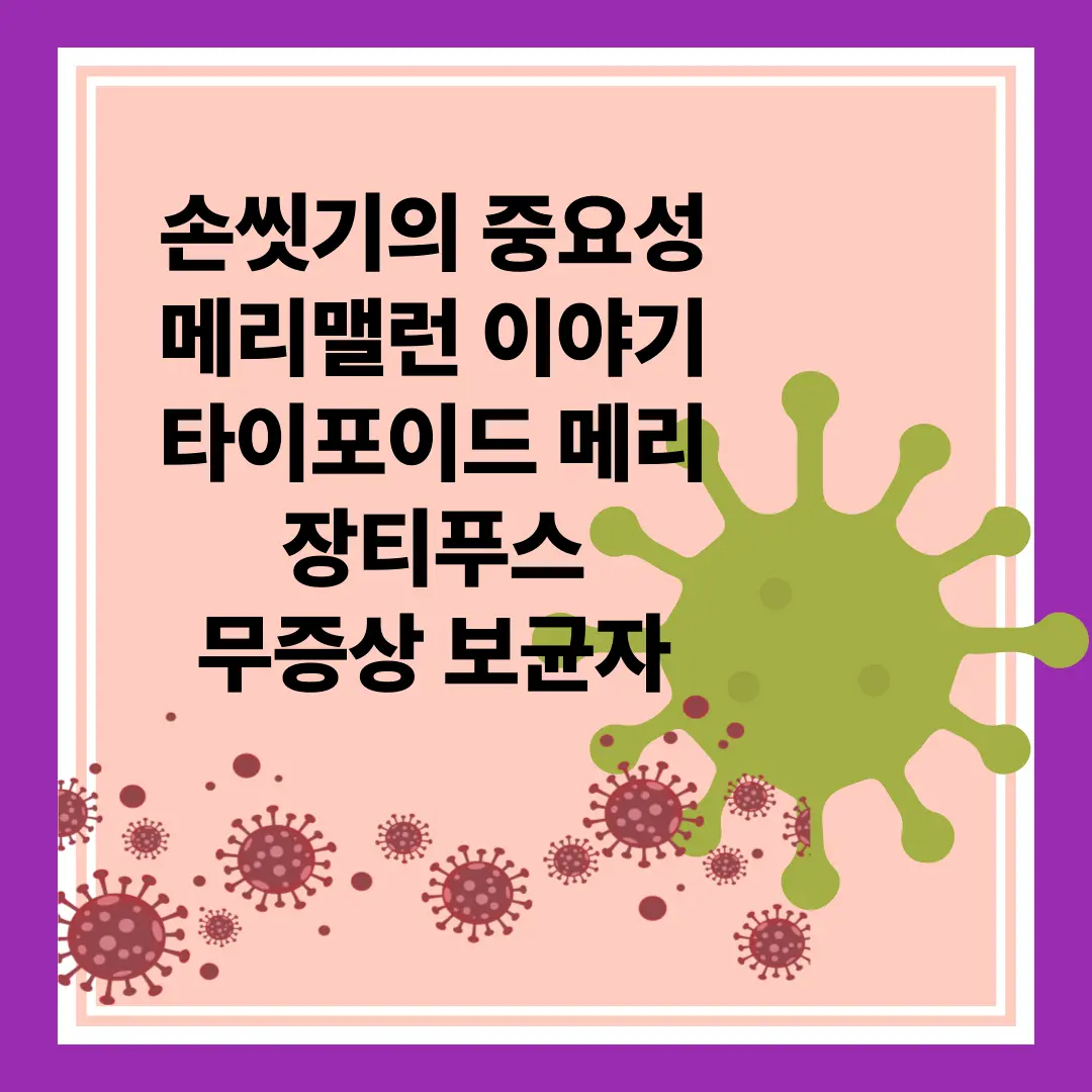 손씻기의 중요성 메리맬런 장티푸스균