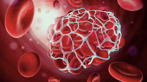 프로폴리스 효능