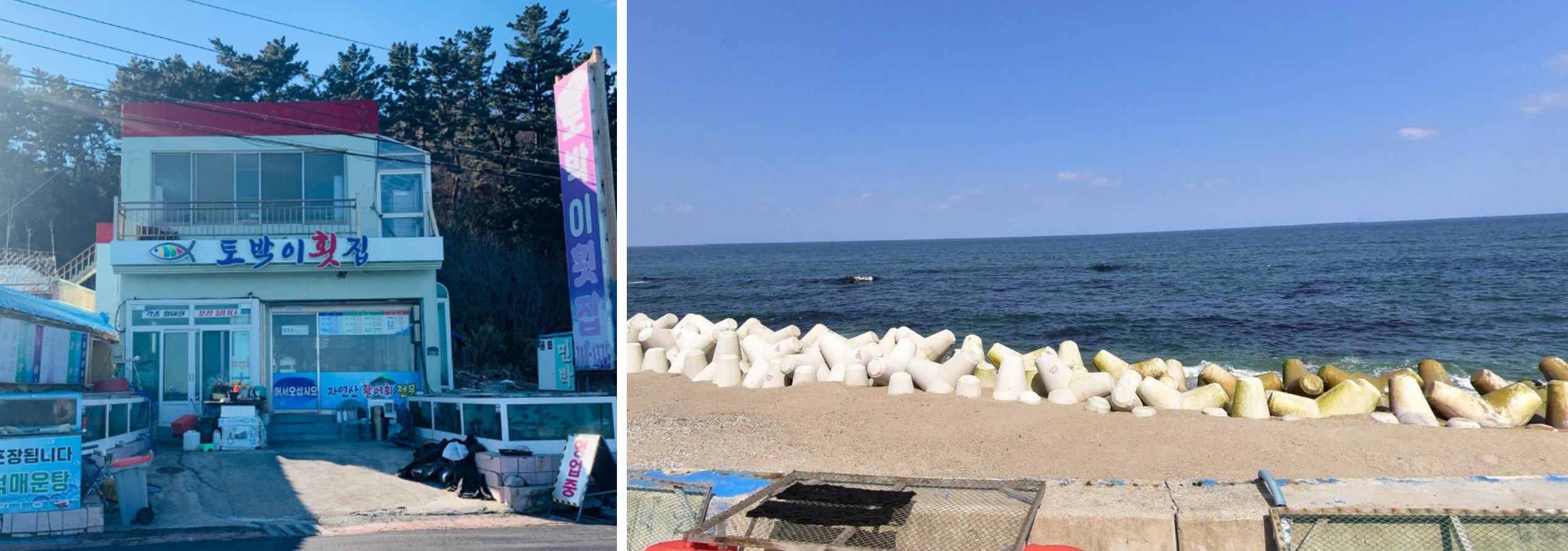 백반기행 울진밥상 토박이횟집 전경 및 주변 풍경 사진입니다.