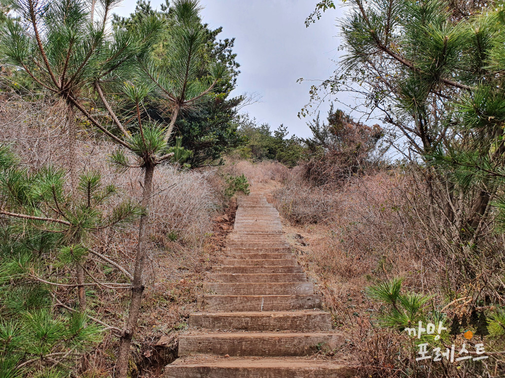 높은 오름 계단