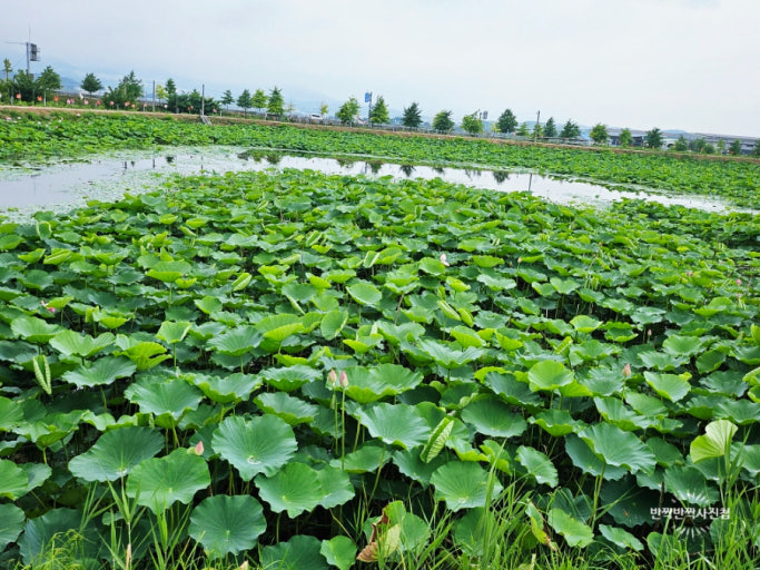 경산 가볼만한곳 베스트10