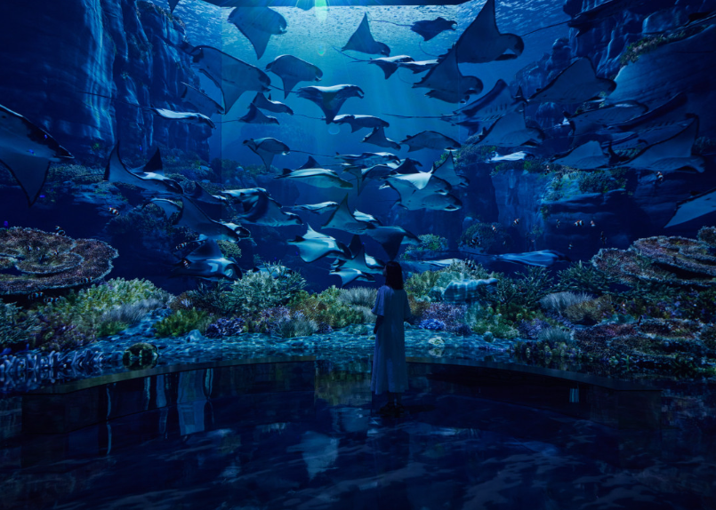 파주 뮤지엄헤이