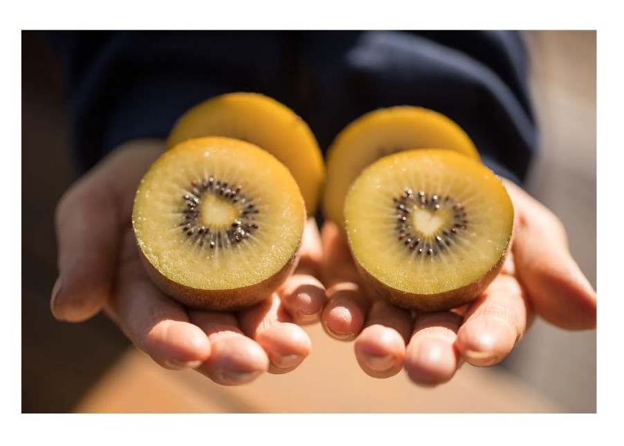 골드키위 이미지