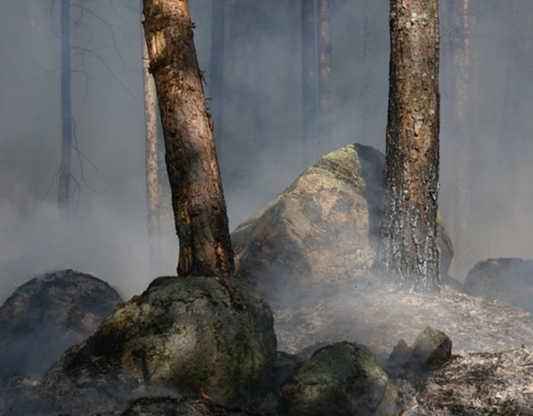 LA산불 원인 위치 지도 손실 08