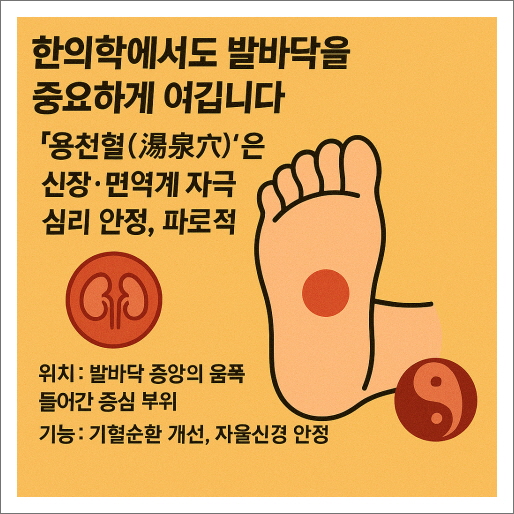 한의학에서도 발바닥과 골열은 중요합니다