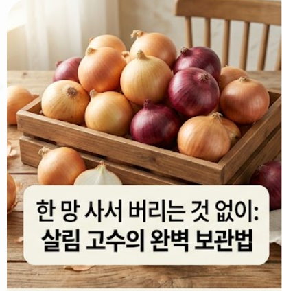 양파 보관법
