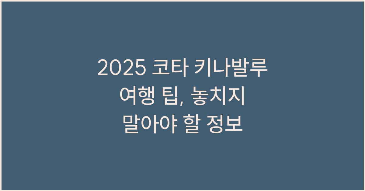 2025 코타 키나발루 여행 팁