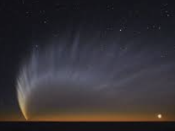 ENFP 유형 특징 분석