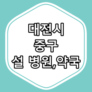 대전시 중구 설 연휴 문 여는 병원과 약국 [2025년]