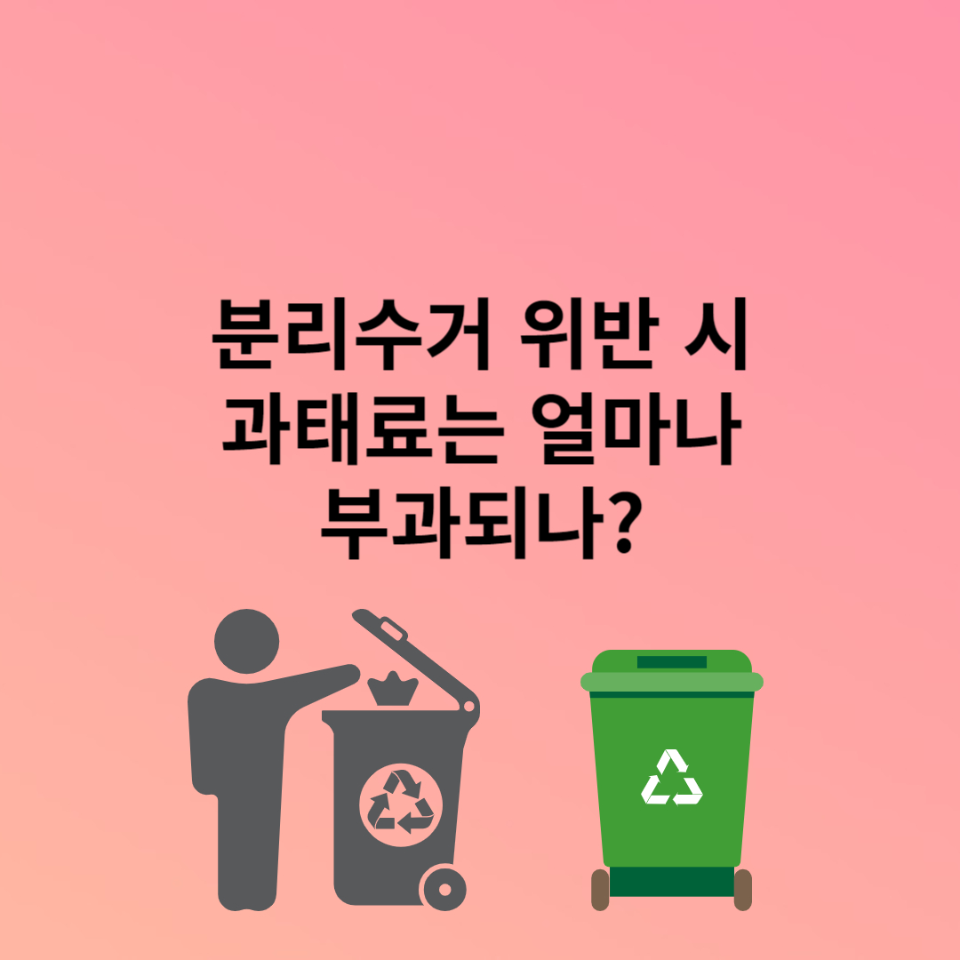분리수거 위반시 과태료는?