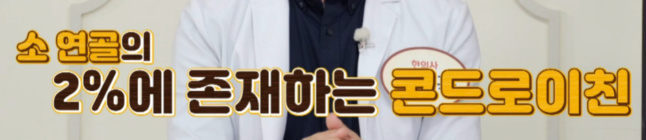 콘드로이친 추천 및 복용법