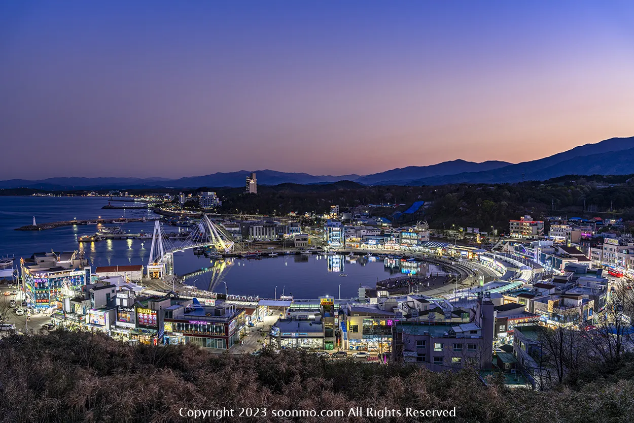 속초 대포항 맛집 추천 회센터 근처 인기 식당 리스트_3