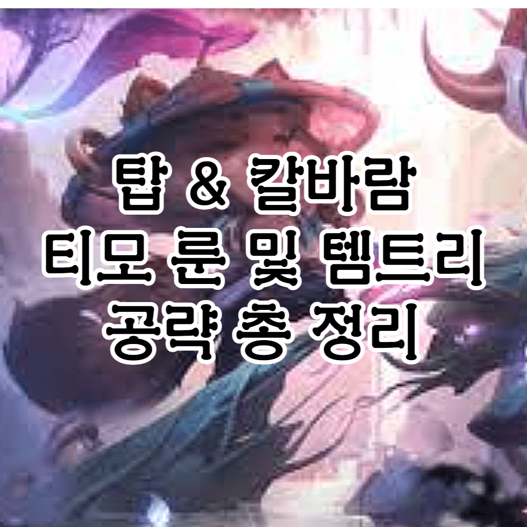 롤 시즌 12 탑 티모 룬 & 템트리 공략 정리