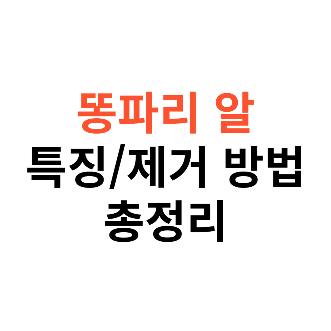 똥파리 알 특징