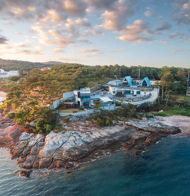 아라풀빌라펜션