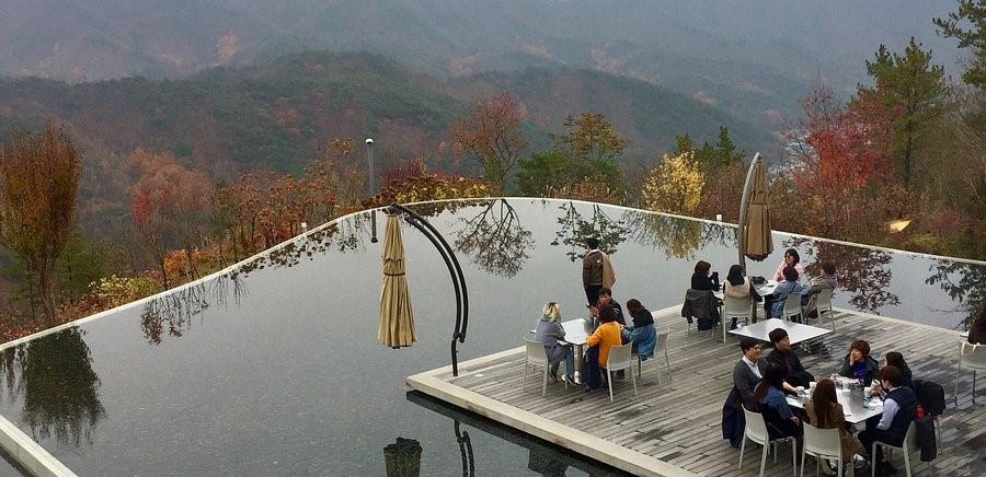 원주 뮤지엄산 수목원 완벽 가이드: 안도 타다오 건축과 자연이 만나는 힐링 여행 (3회 방문 후기)