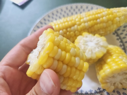 초당옥수수 전자레인지 찌는법 보관법 냉동 초당옥수수 먹는법
