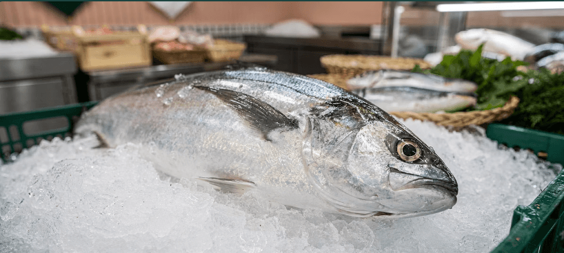 도루묵 유래와 도루묵 제철