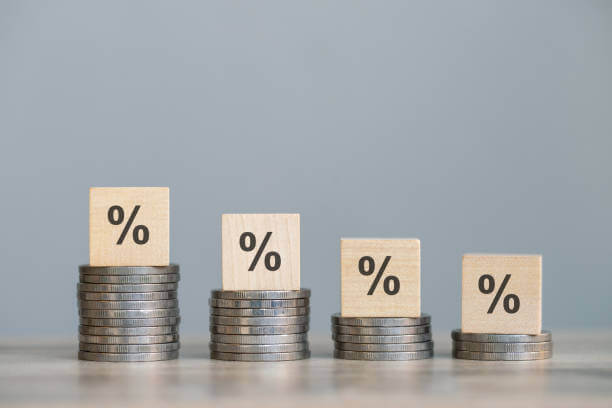 동전 위에 퍼센트