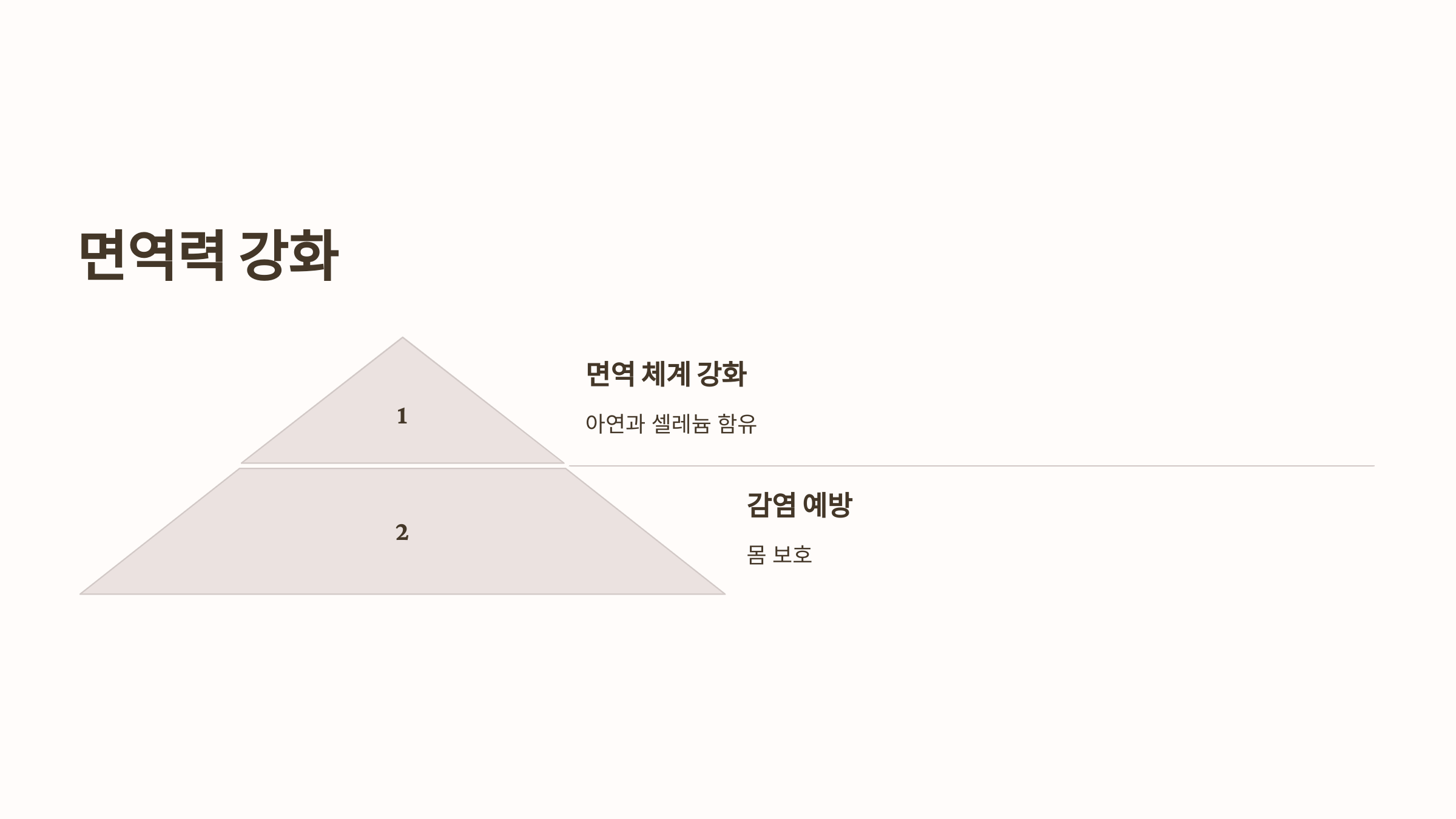 수수 사진입니다.