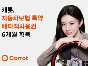 캐롯 다이렉트 자동차보험 장단점과 가입 전 알아둘 점 체크포인트_20