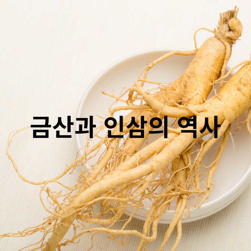 금산인삼축제 2025 