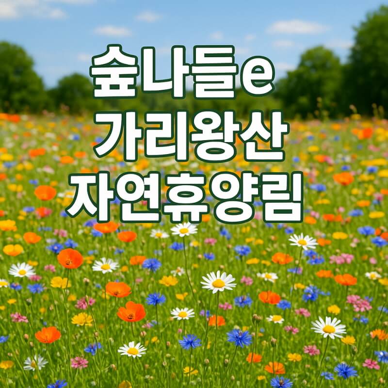 숲나들e 가리왕산 자연휴양림 국내 여행지 추천 관련사진