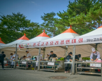 괴산 고추축제_1