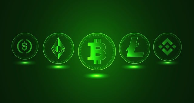 바이낸스거래소와 코인들