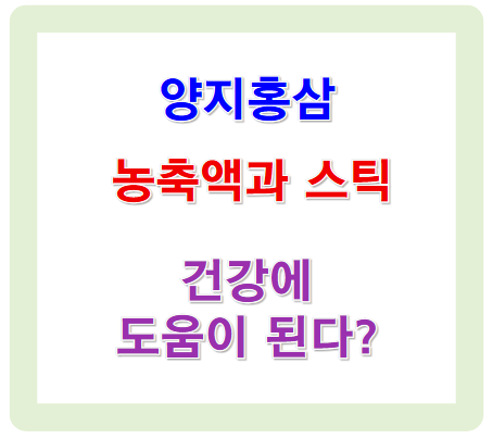 홍삼, 건강에 도움이 된다? 양지홍삼 농축액과 스틱