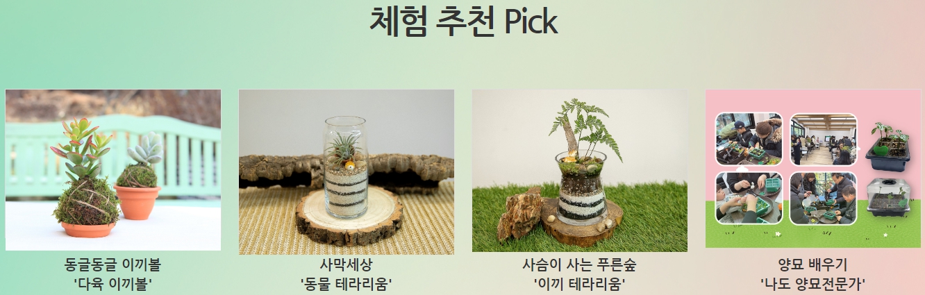 추천 체험 프로그램