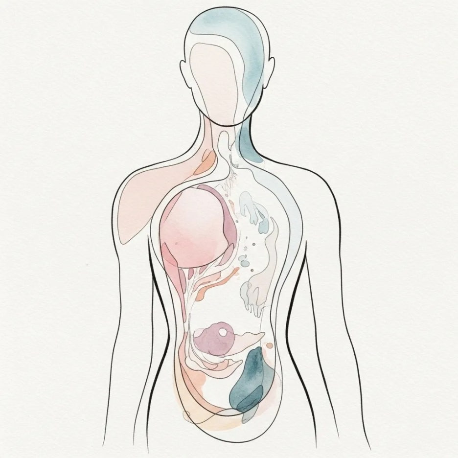 몸의 내부 반응을 시각적으로 표현한 추상화