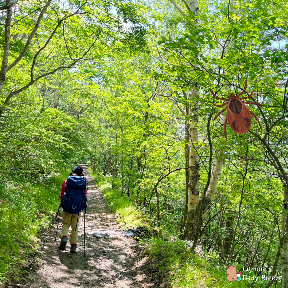 봄철 야외활동 전 꼭 알아야 할 참진드기와 SFTS 완벽 정리
