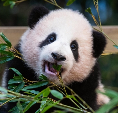 강철원 사육사 프로필 나이 고향 학력 경력