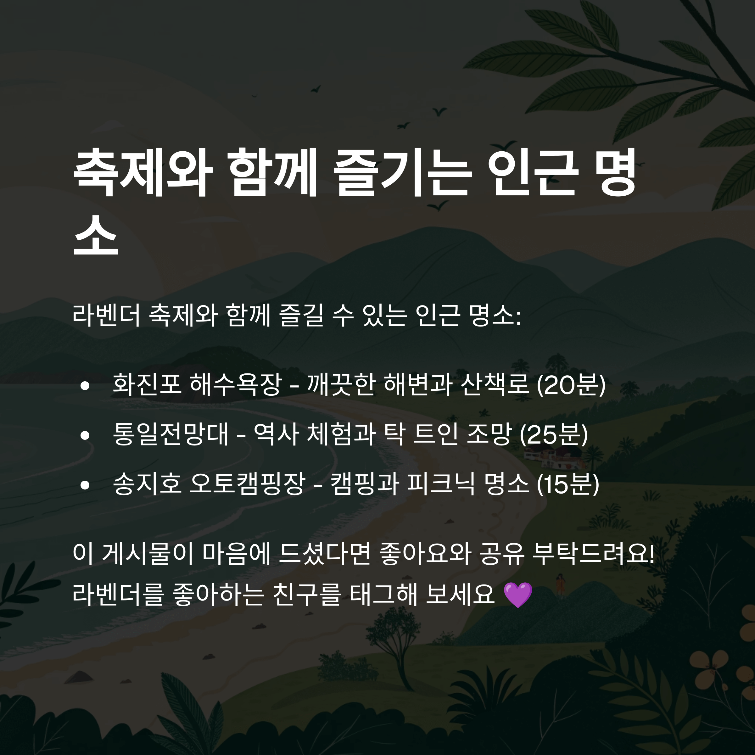 라벤더 축제와 함께 즐기기 좋은 고성 인근 명소 소개