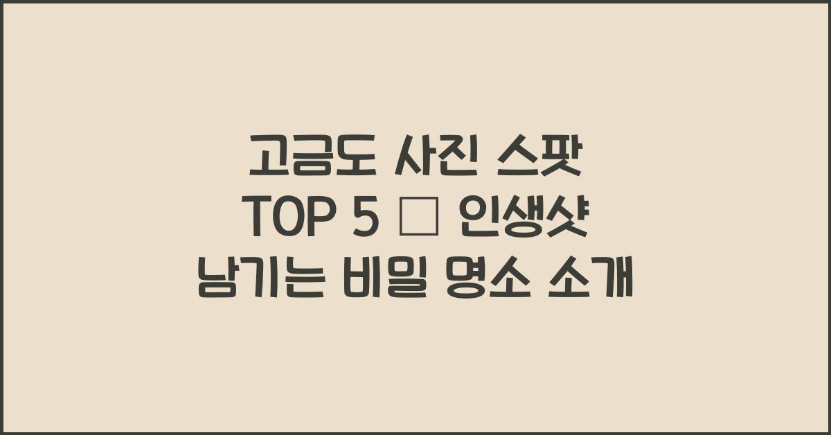 고금도 사진 스팟 TOP 5 – 인생샷 건지는 명소