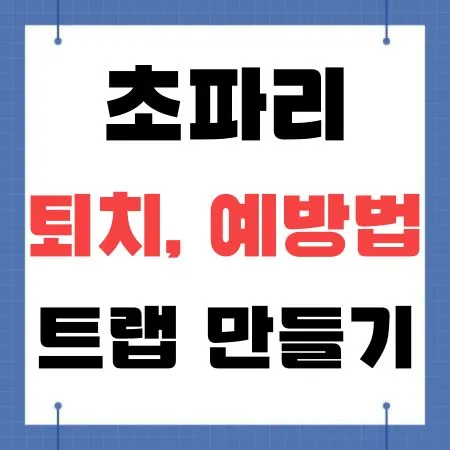 초파리 퇴치, 예방법