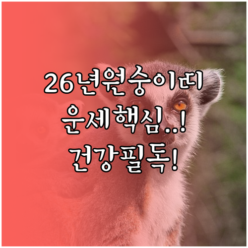 2026년 1944년생 원숭이띠 운세..