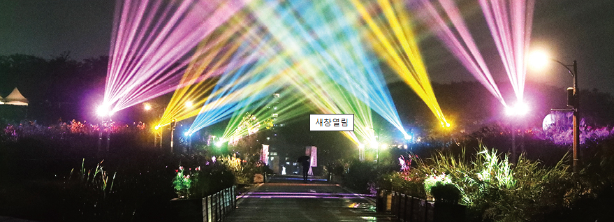 서울 하늘공원 억새축제 가볼까? 📸 야경+체험 꿀팁 정리