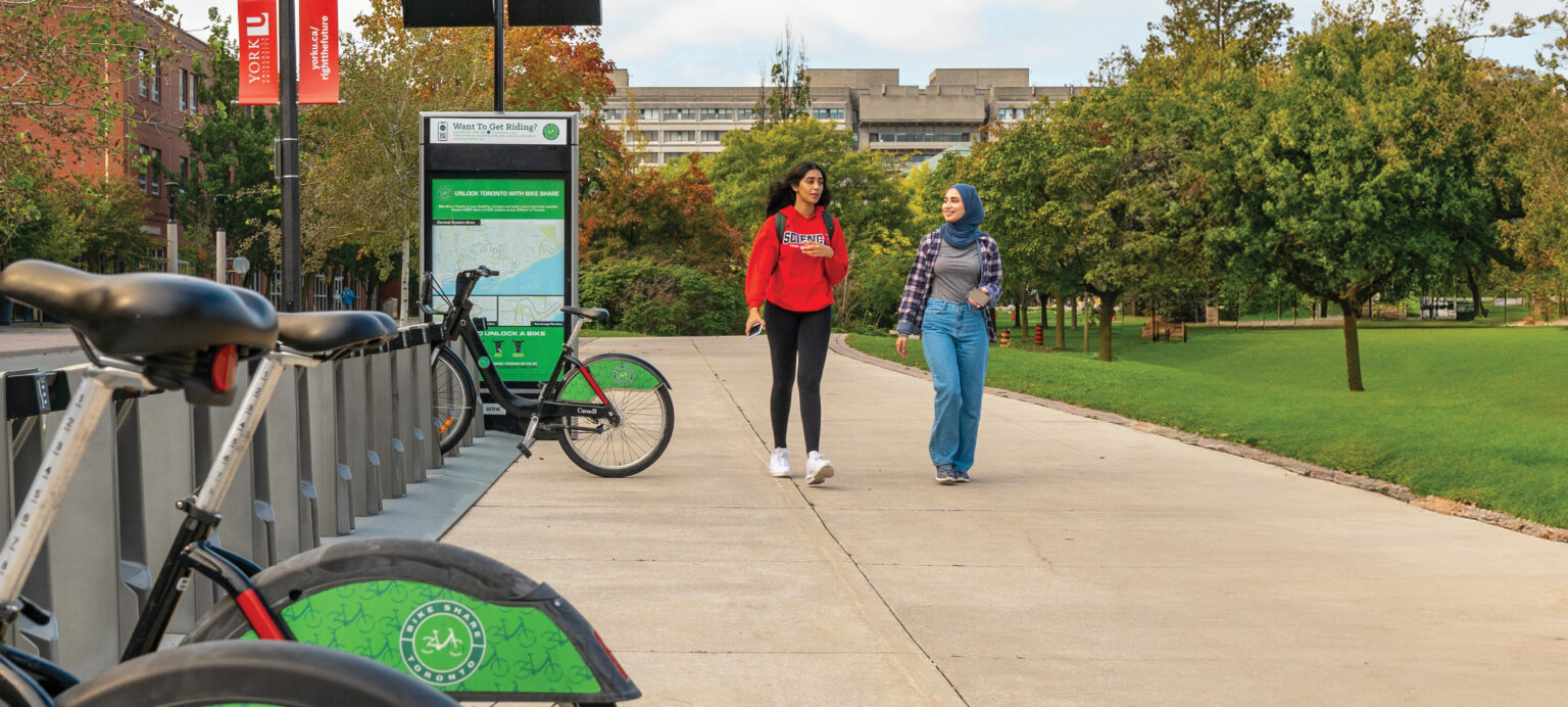 York University