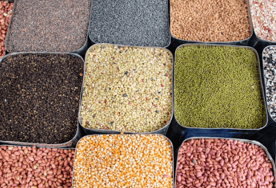 나잇살 완벽 타파! 뱃살 빼는 쉬운 식단 &amp;홈트 꿀팁