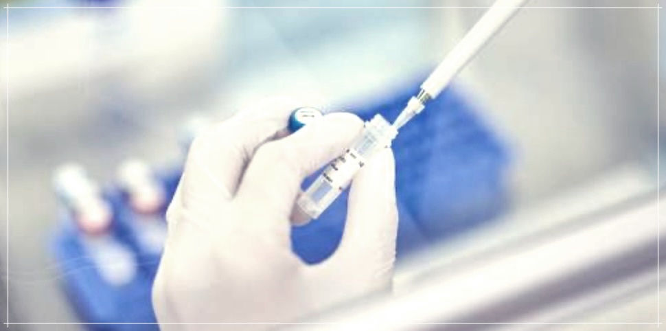 펫시티 검사 비용 부작용