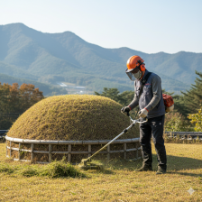 벌초 대행 서비스 비용 비교