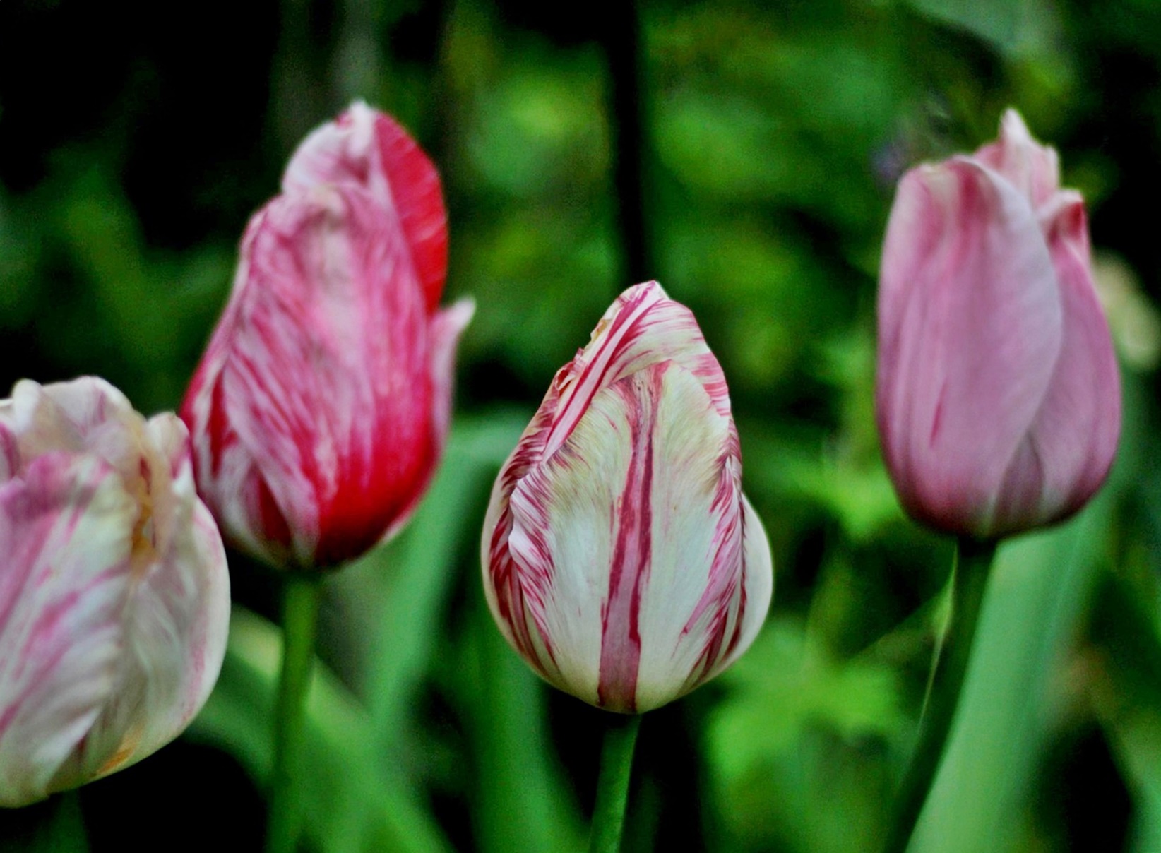 몸속 염증&amp;#44; 왜 중년 이후 모든 질병의 출발점이 될까!