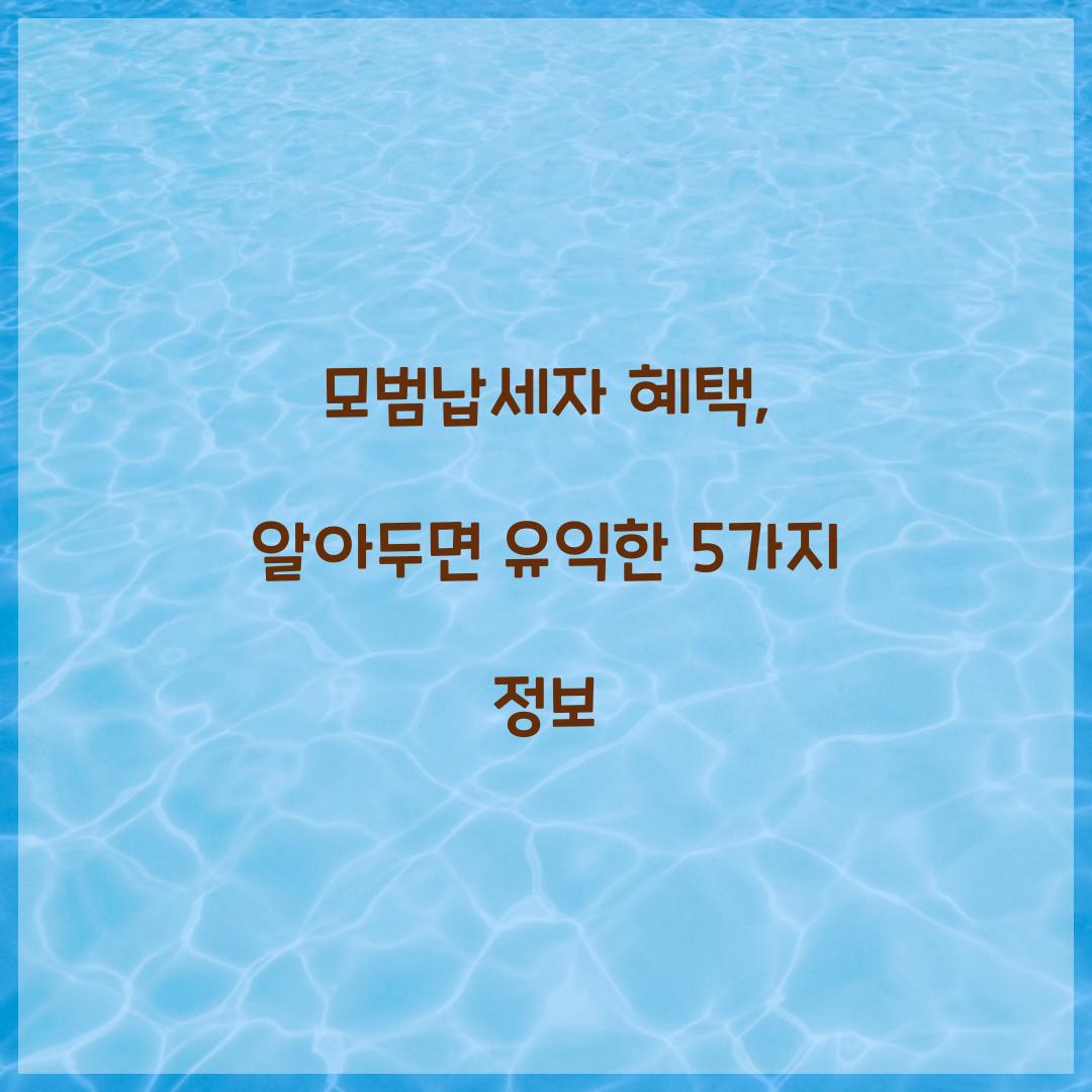 모범납세자 혜택