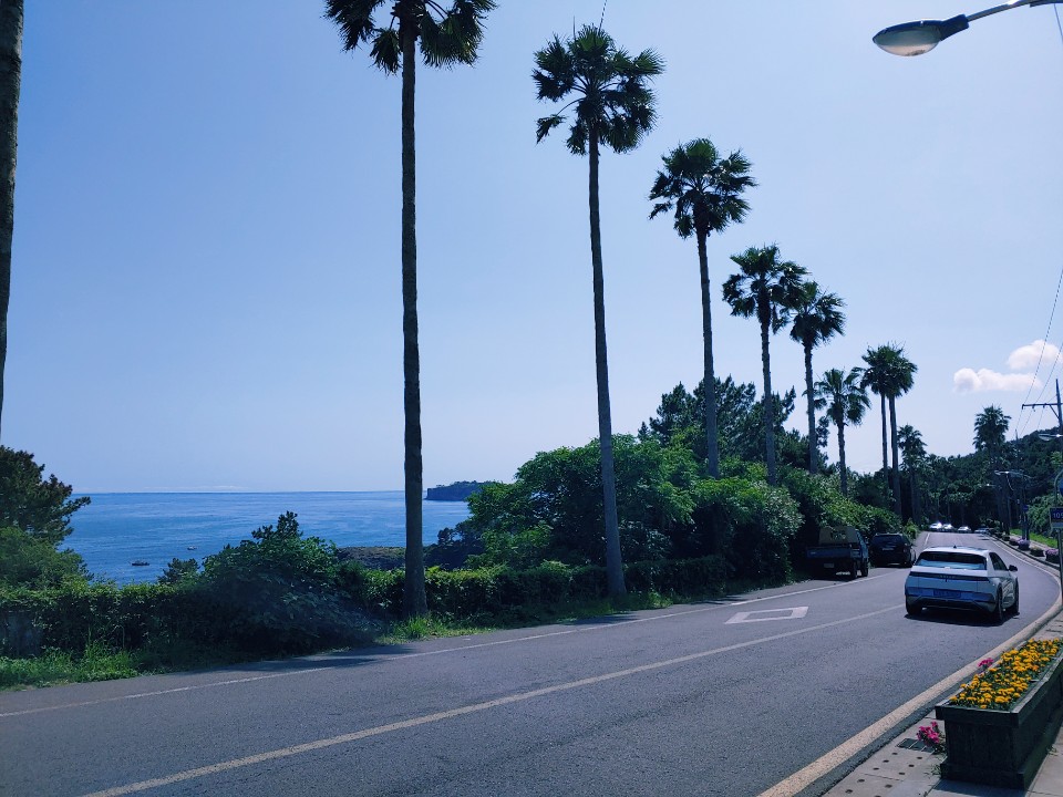 제주 도보여행