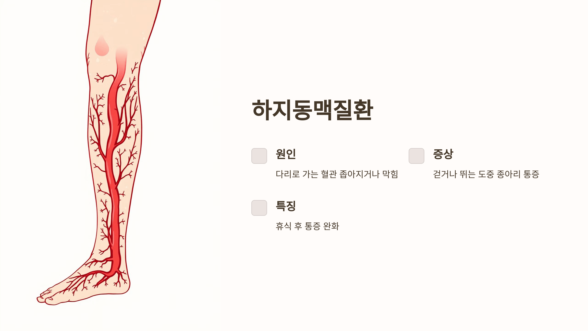 종아리 근육과 관련된 사진입니다.